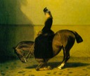 Sisi demonstrating equestrian skill