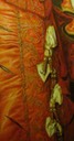 ca. 1568 Elisabeth de Valois by Anthonis Mor (Louvre?) skirt