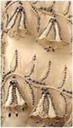 1814-1816 Embroidered bells of Princess Charlotte bellflower court dress